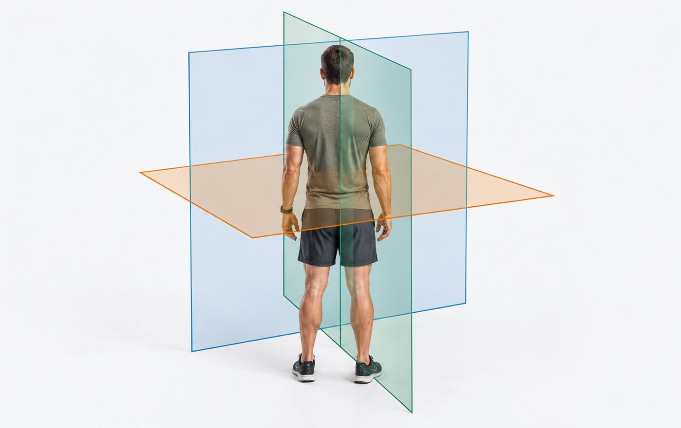 The same person standing, with all three planes through the body, and an arrow in each one: up and down, side to side, and turning.
